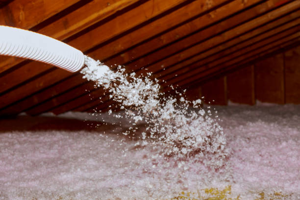 Professional Insulation Contractor in Yellow Springs, OH